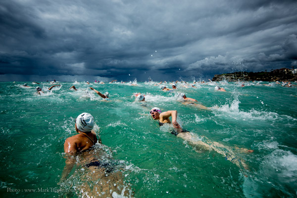 bronte surf club members news bronte surf club main article